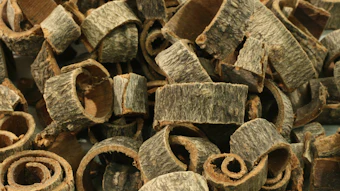 Magnolia Bark