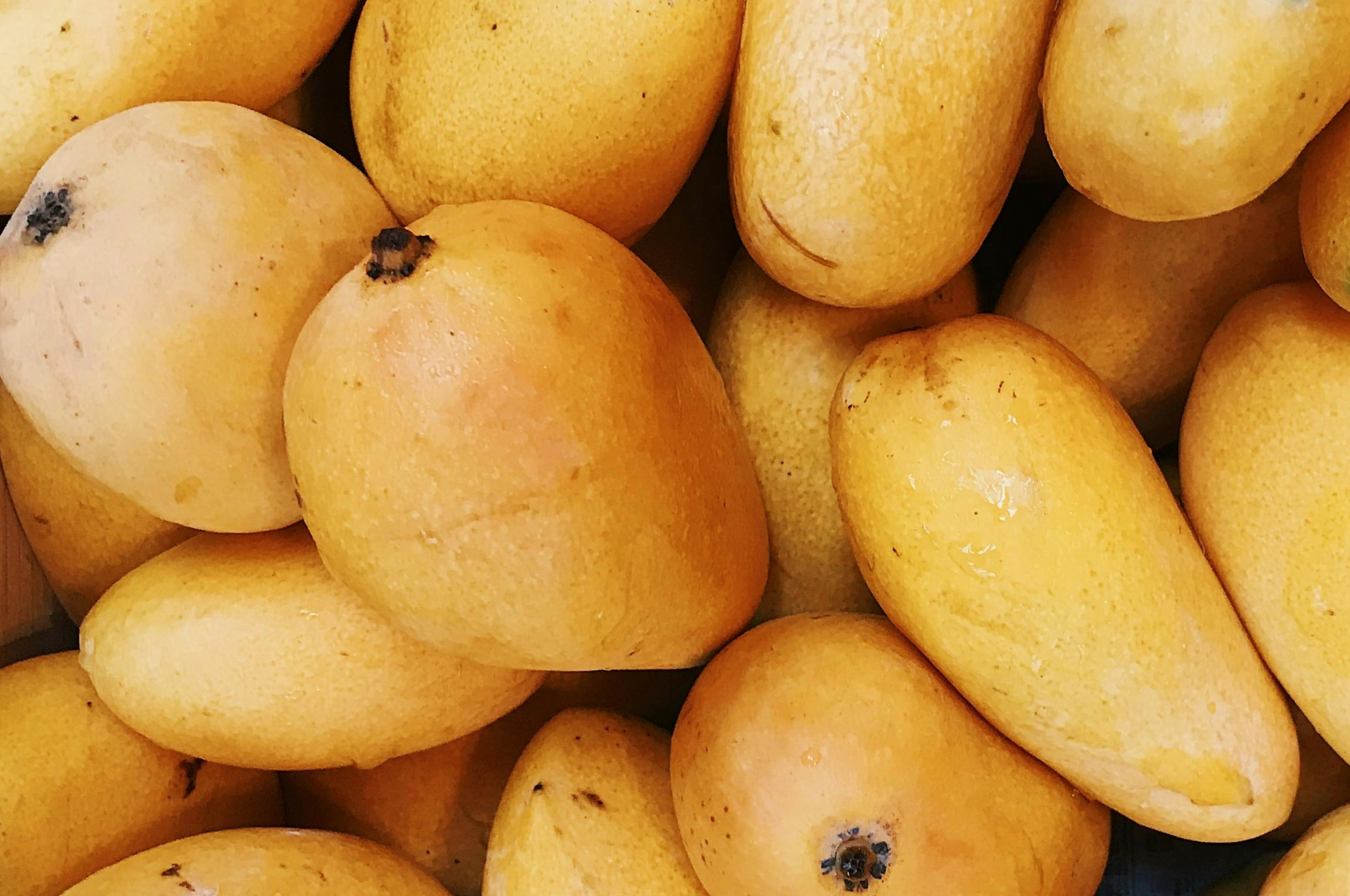 Mango Spark jpeg
