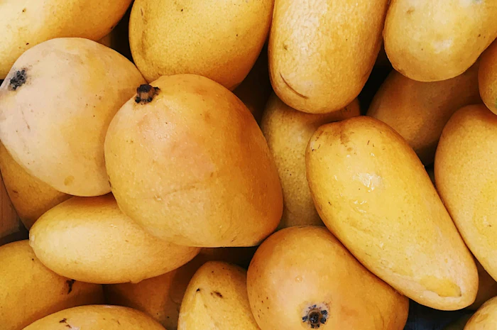 Mango Spark jpeg