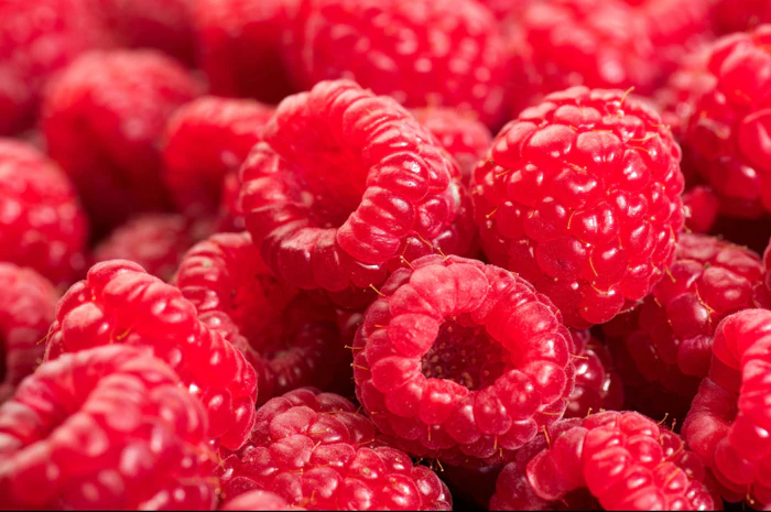 Raspberry jpeg