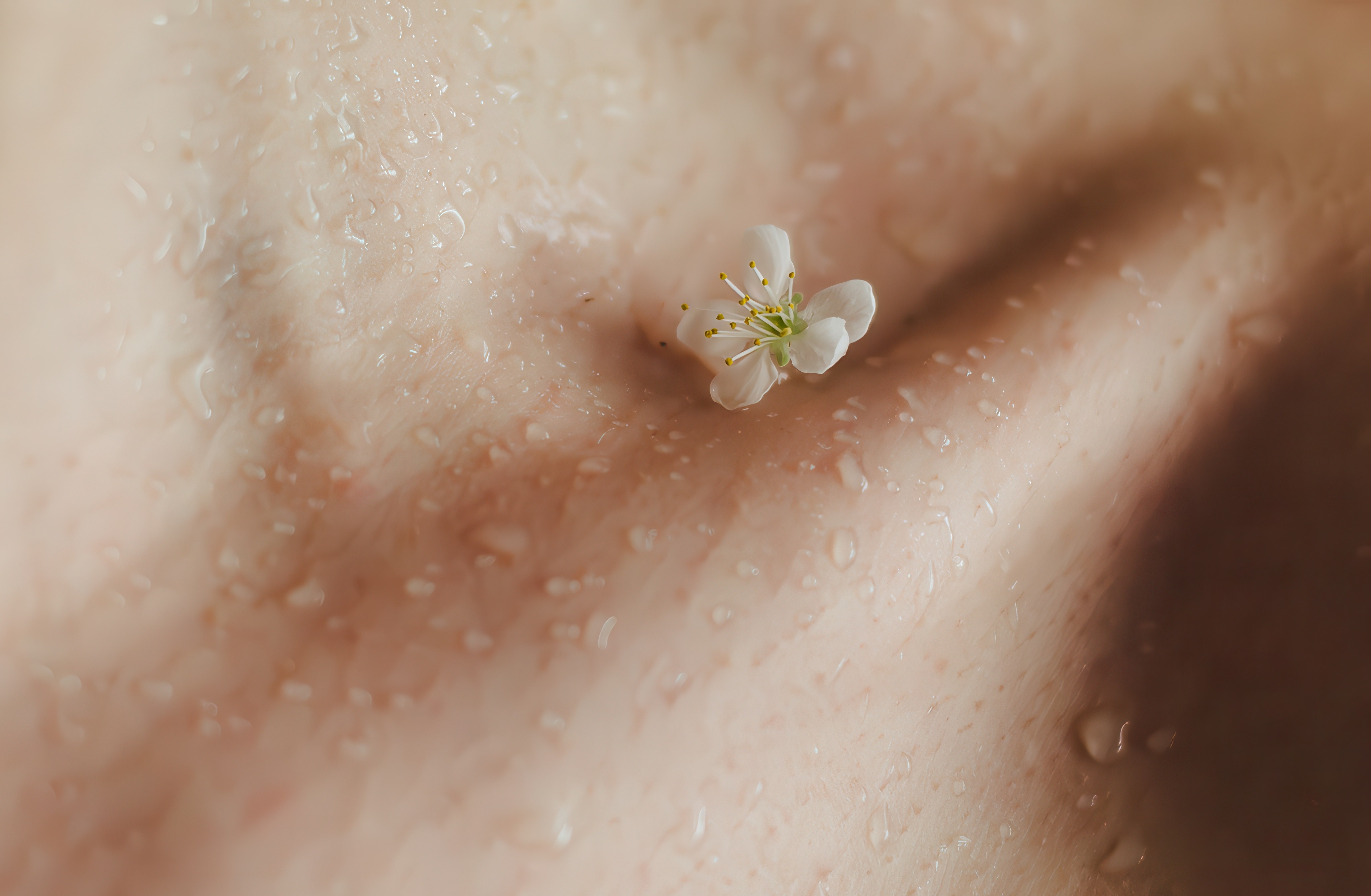 Seppic Skin Microbiome