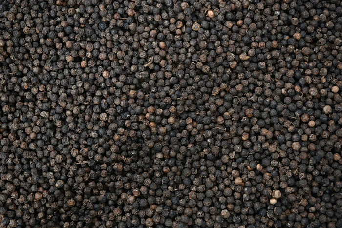 Shutterstock 2225555819