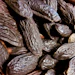 For perfumers, the material offers enhanced performance and cost efficiency alongside a richer olfactive profile: creamy roasted-almond facets, sun-dried hay nuances and cocoa undertones layered with a distinctive brown-sugar warmth and subtle buckwheat-like saltiness.