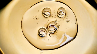 Clariant’s Lucas Meyer Cosmetics division has launched AlgaSurge, a sulfated polysaccharide hydrogel positioned as a vegan alternative to hyaluronic acid and PDRN.