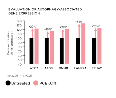 Figure 2 - Effect of PCE on the expression of autophagy-related genes in an aged NHDF culture, vs. untreated control. ATG7 = autophagy related 7; ATG8 = autophagy related 8; DNM1L = dynamin 1 like; LAMP2A = lysosome-associated membrane protein 2; EPHA2 = ephrin receptor A2.