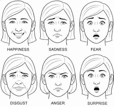 Figure 3 - Ekman's six basic emotions