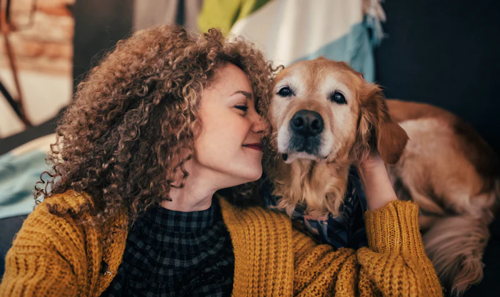 Digestive health is central to a dog&rsquo;s overall well-being, affecting hydration, nutrient absorption, and immune function.