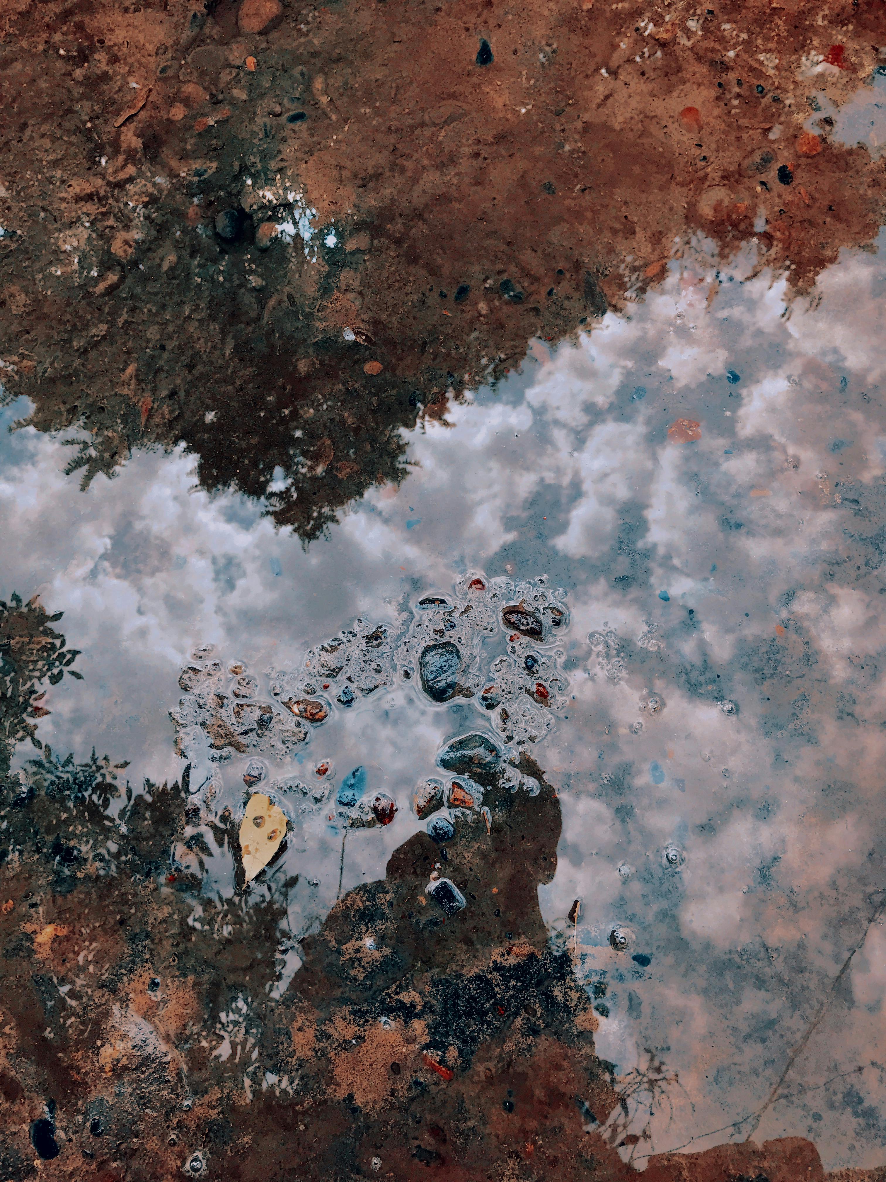 Penta Natural Geosmin June Image