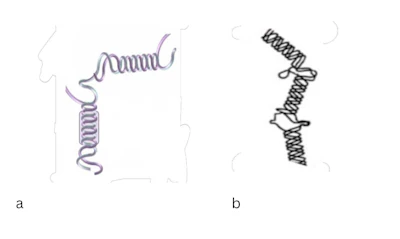 Figure 1 - a) Double helix structure of Sphingomonas ferment extract, b) triple helix structure of sclerotium gum.