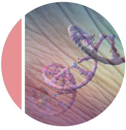 Biocogent June Pru