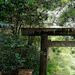 'Japan offers an extraordinary cultural vocabulary that remains largely untapped globally,' says Joseph Lattarulo, senior vice president and general manager at Takasago. 'Sacred woods from legendary forests. Tea rituals from Japan to China. Traditional gastronomy. Seasonality. Architecture. Craftsmanship. Thousands of emotional stories waiting to become fragrances.'