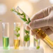 Scientist in latex gloves holding test tube with plant extract and golden liquid in laboratory setting with multiple botanical samples