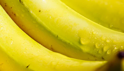 Misitano & Stracuzzi's banana extract 50x is a concentrated ethanolic extract derived from the water phase of Costa Rican bananas, capturing the fruit's naturally sweet, ripe character with delicate floral and fruity nuances.