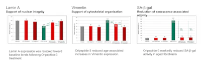 Figure 1 - Effects of Oripeptide-3 on key biomarkers of cellular aging.