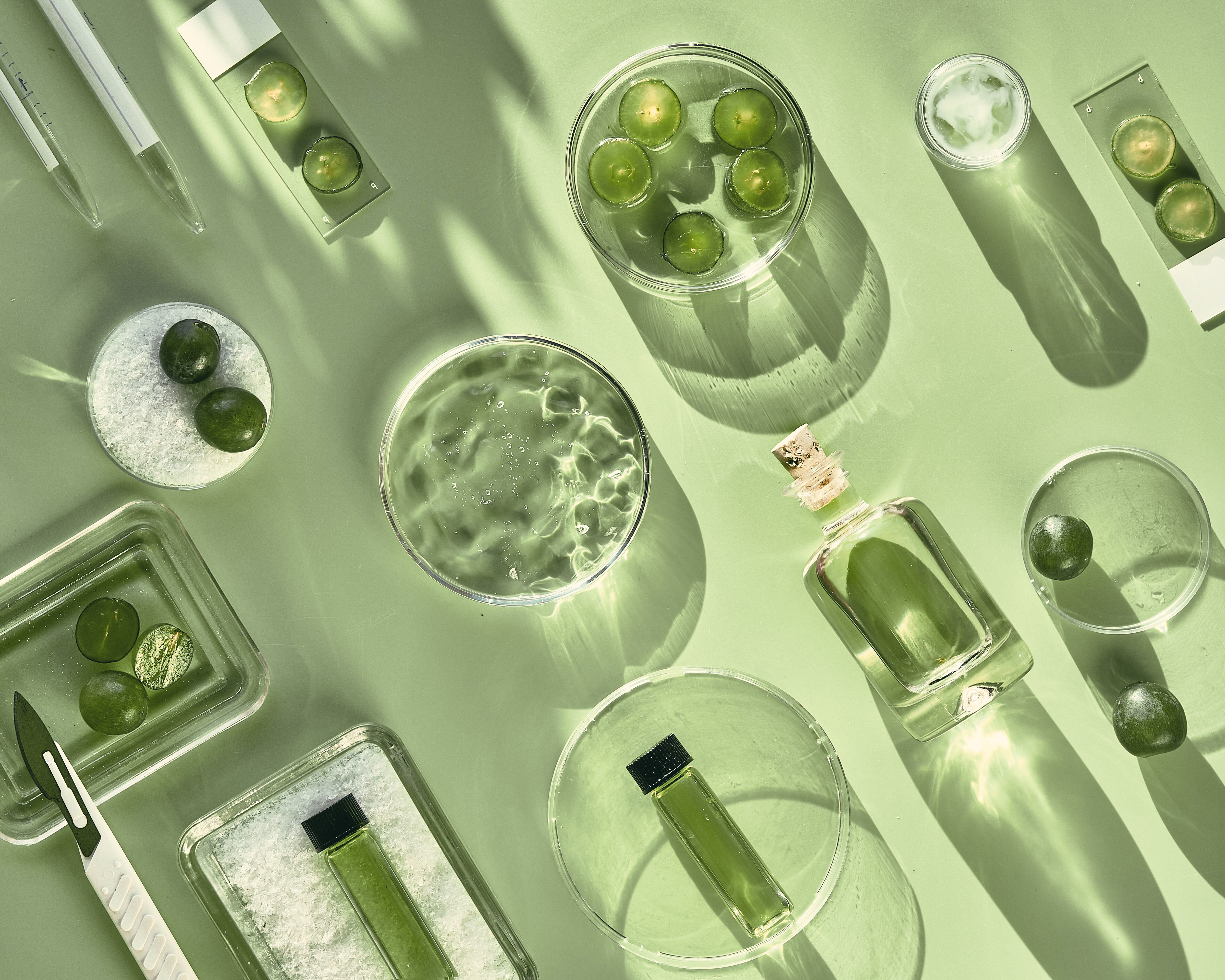 Flat lay arrangement of green cosmetic and skincare products with spherical elements on a pale green background