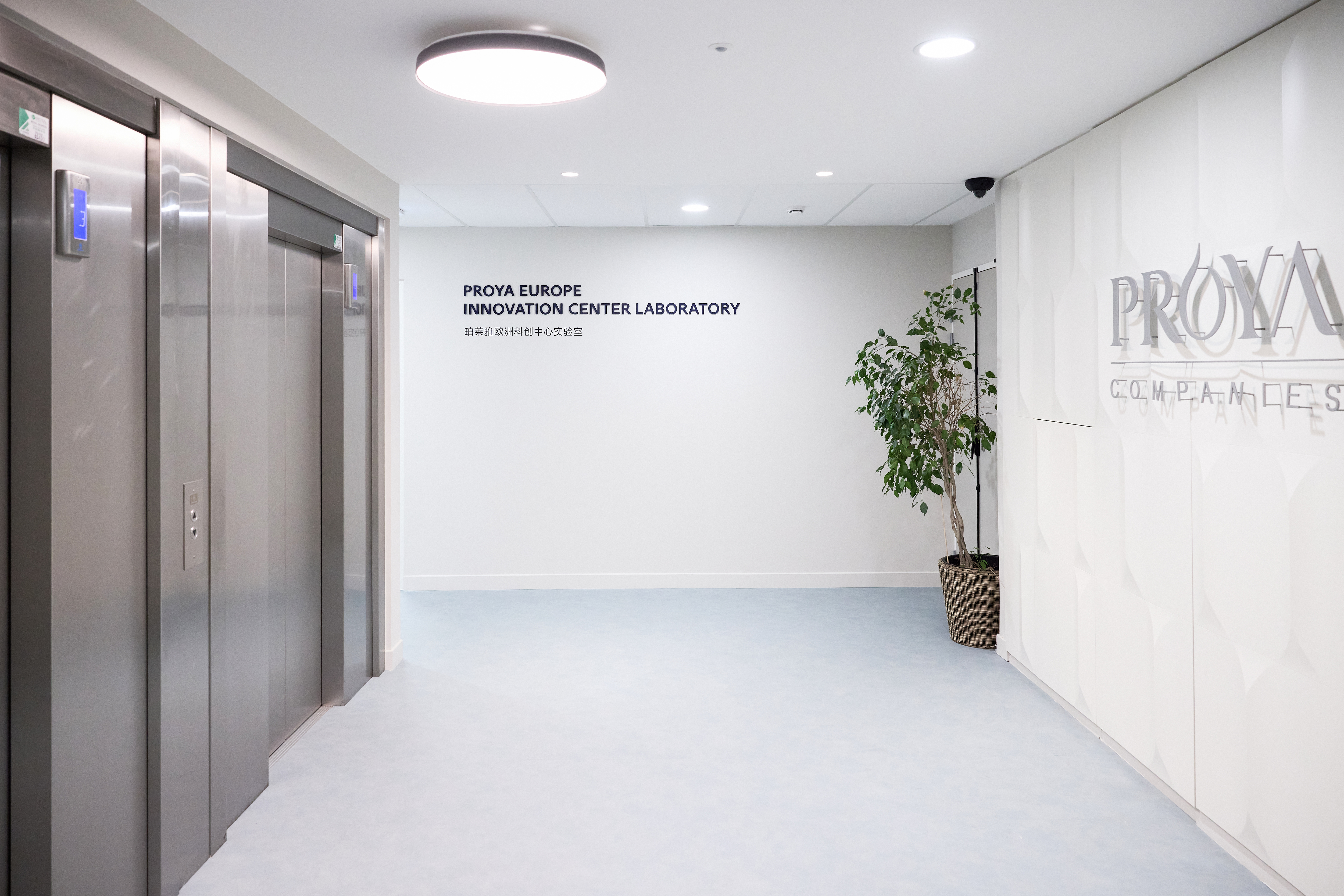 Modern office elevator lobby with PROVA branding, featuring stainless steel elevators, white walls, potted plant, and recessed ceiling lights