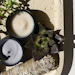 Overhead view of two cream-filled bowls with succulents, sage bundle, and green foliage on sandy surface